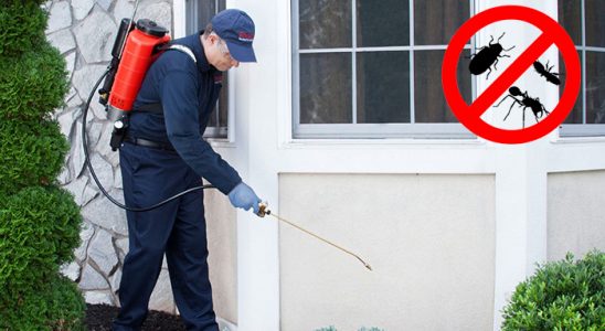 Otlukbeli Böcek İlaçlama böcek ilaçlama ve haşere kontrolü — ilaclama-tr.com